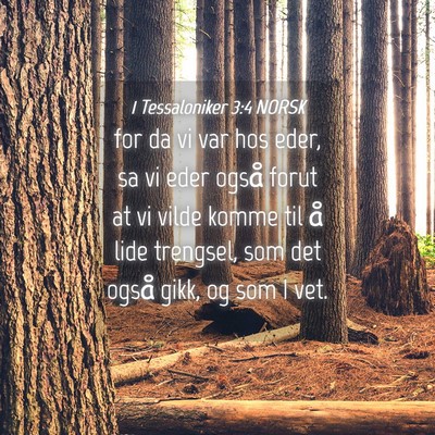Picture 04 - 1 Tessaloniker 3:4 NORSK - for da vi var hos eder, sa vi eder også forut at - Bible Verse Picture