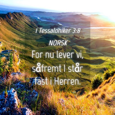 Picture 04 - 1 Tessaloniker 3:8 NORSK - For nu lever vi, såfremt I står fast i - Bible Verse Picture