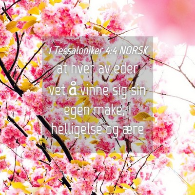 Picture 04 - 1 Tessaloniker 4:4 NORSK - at hver av eder vet å vinne sig sin egen make, i - Bible Verse Picture