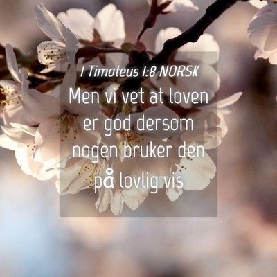 Picture 04 - 1 Timoteus 1:8 NORSK - Men vi vet at loven er god dersom nogen bruker - Bible Verse Picture