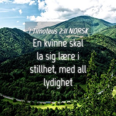 Picture 04 - 1 Timoteus 2:11 NORSK - En kvinne skal la sig lære i stillhet, med all - Bible Verse Picture