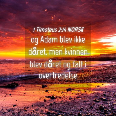 Picture 04 - 1 Timoteus 2:14 NORSK - og Adam blev ikke dåret, men kvinnen blev dåret - Bible Verse Picture