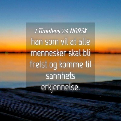 Picture 04 - 1 Timoteus 2:4 NORSK - han som vil at alle mennesker skal bli frelst og - Bible Verse Picture