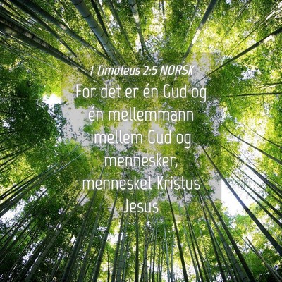 Picture 04 - 1 Timoteus 2:5 NORSK - For det er én Gud og én mellemmann imellem Gud - Bible Verse Picture