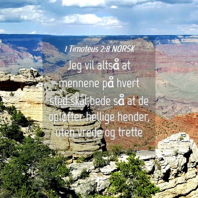 Picture 04 - 1 Timoteus 2:8 NORSK - Jeg vil altså at mennene på hvert sted skal - Bible Verse Picture