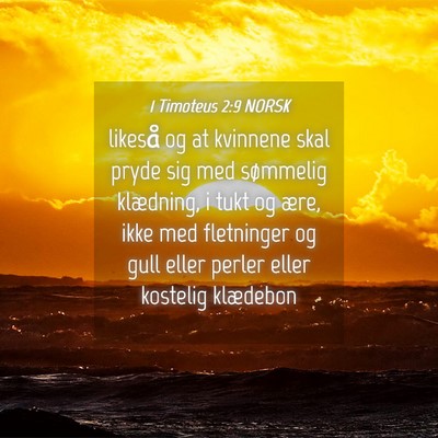 Picture 04 - 1 Timoteus 2:9 NORSK - likeså og at kvinnene skal pryde sig med - Bible Verse Picture