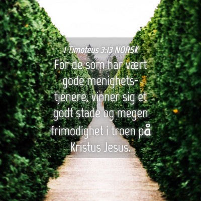 Picture 04 - 1 Timoteus 3:13 NORSK - For de som har vært gode menighets-tjenere, - Bible Verse Picture