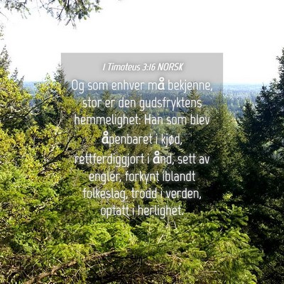 Picture 04 - 1 Timoteus 3:16 NORSK - Og som enhver må bekjenne, stor er den - Bible Verse Picture
