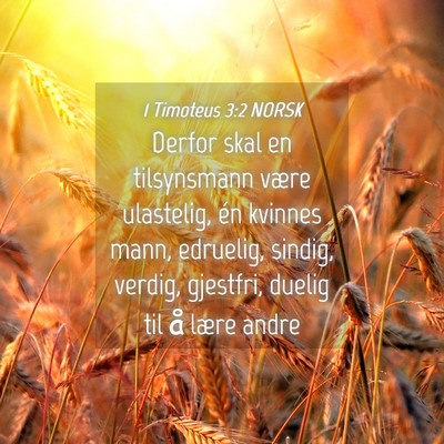 Picture 04 - 1 Timoteus 3:2 NORSK - Derfor skal en tilsynsmann være ulastelig, én - Bible Verse Picture