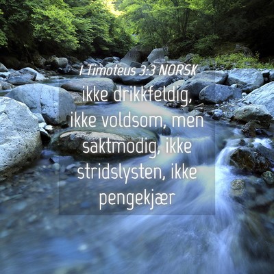 Picture 04 - 1 Timoteus 3:3 NORSK - ikke drikkfeldig, ikke voldsom, men saktmodig, - Bible Verse Picture
