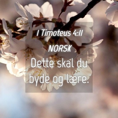 Picture 04 - 1 Timoteus 4:11 NORSK - Dette skal du byde og - Bible Verse Picture