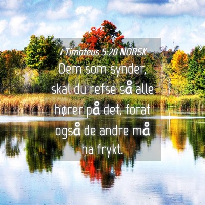 Picture 04 - 1 Timoteus 5:20 NORSK - Dem som synder, skal du refse så alle hører på - Bible Verse Picture