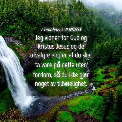 Picture 04 - 1 Timoteus 5:21 NORSK - Jeg vidner for Gud og Kristus Jesus og de - Bible Verse Picture