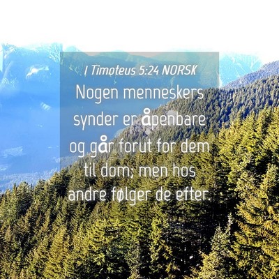 Picture 04 - 1 Timoteus 5:24 NORSK - Nogen menneskers synder er åpenbare og går - Bible Verse Picture
