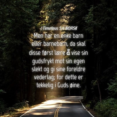 Picture 04 - 1 Timoteus 5:4 NORSK - Men har en enke barn eller barnebarn, da skal - Bible Verse Picture