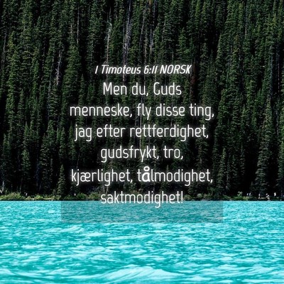 Picture 04 - 1 Timoteus 6:11 NORSK - Men du, Guds menneske, fly disse ting, jag efter - Bible Verse Picture