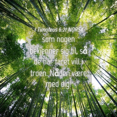 Picture 04 - 1 Timoteus 6:21 NORSK - som nogen bekjenner sig til, så de har faret - Bible Verse Picture