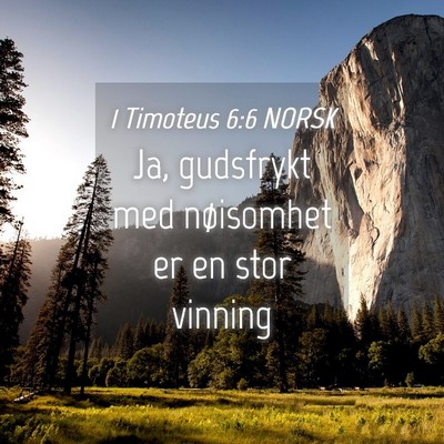 Picture 04 - 1 Timoteus 6:6 NORSK - Ja, gudsfrykt med nøisomhet er en stor - Bible Verse Picture