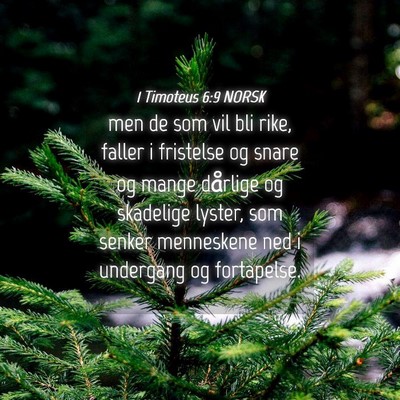 Picture 04 - 1 Timoteus 6:9 NORSK - men de som vil bli rike, faller i fristelse og - Bible Verse Picture