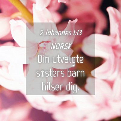 Picture 04 - 2 Johannes 1:13 NORSK - Din utvalgte søsters barn hilser - Bible Verse Picture