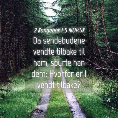 Picture 04 - 2 Kongebok 1:5 NORSK - Da sendebudene vendte tilbake til ham, spurte han - Bible Verse Picture