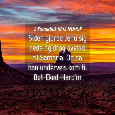 Picture 04 - 2 Kongebok 10:12 NORSK - Siden gjorde Jehu sig rede og drog avsted til - Bible Verse Picture