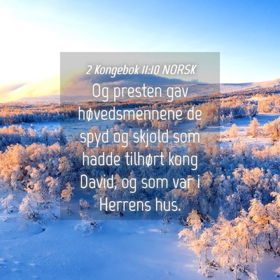 Picture 04 - 2 Kongebok 11:10 NORSK - Og presten gav høvedsmennene de spyd og skjold - Bible Verse Picture