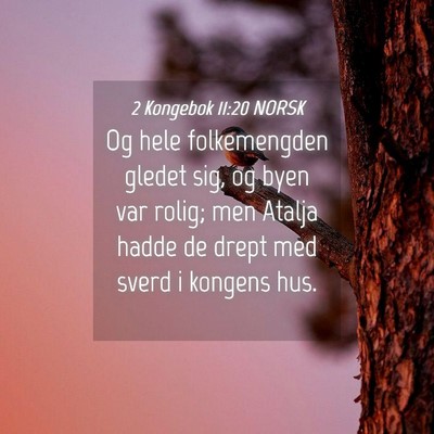 Picture 04 - 2 Kongebok 11:20 NORSK - Og hele folkemengden gledet sig, og byen var - Bible Verse Picture