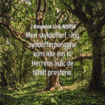 Picture 04 - 2 Kongebok 12:16 NORSK - Men skyldoffer( -)og syndofferpengene kom ikke - Bible Verse Picture