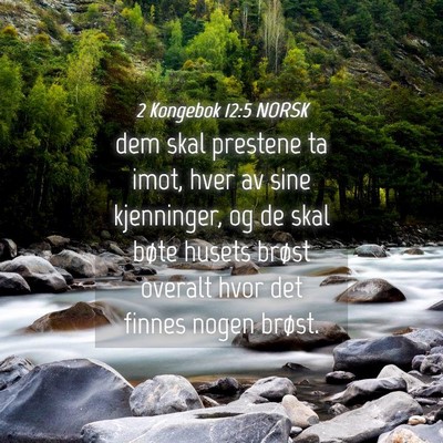 Picture 04 - 2 Kongebok 12:5 NORSK - dem skal prestene ta imot, hver av sine - Bible Verse Picture