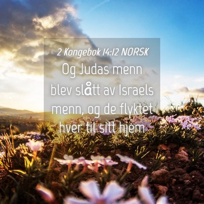 Picture 04 - 2 Kongebok 14:12 NORSK - Og Judas menn blev slått av Israels menn, og de - Bible Verse Picture