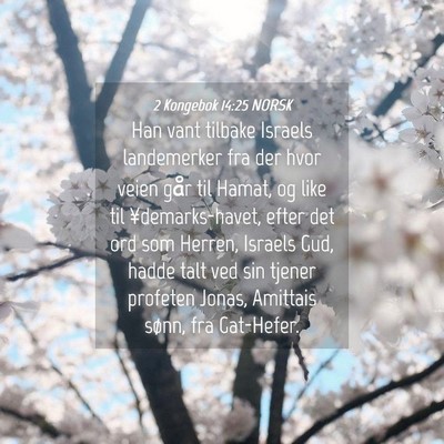 Picture 04 - 2 Kongebok 14:25 NORSK - Han vant tilbake Israels landemerker fra der hvor - Bible Verse Picture
