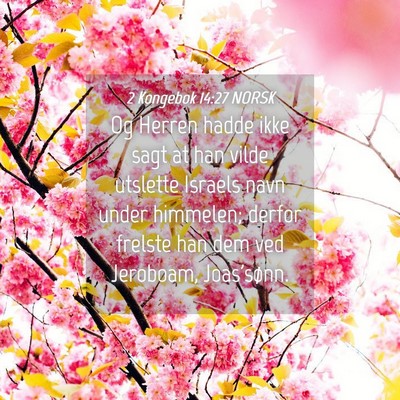 Picture 04 - 2 Kongebok 14:27 NORSK - Og Herren hadde ikke sagt at han vilde utslette - Bible Verse Picture