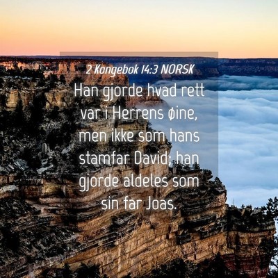 Picture 04 - 2 Kongebok 14:3 NORSK - Han gjorde hvad rett var i Herrens øine, men - Bible Verse Picture