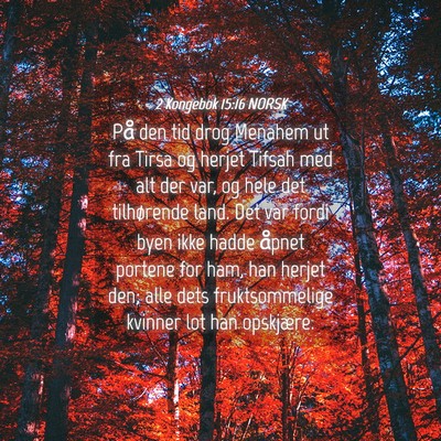 Picture 04 - 2 Kongebok 15:16 NORSK - På den tid drog Menahem ut fra Tirsa og herjet - Bible Verse Picture