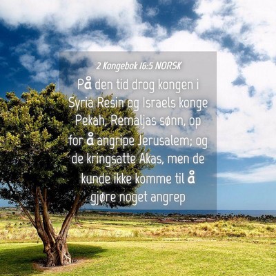 Picture 04 - 2 Kongebok 16:5 NORSK - På den tid drog kongen i Syria Resin og Israels - Bible Verse Picture