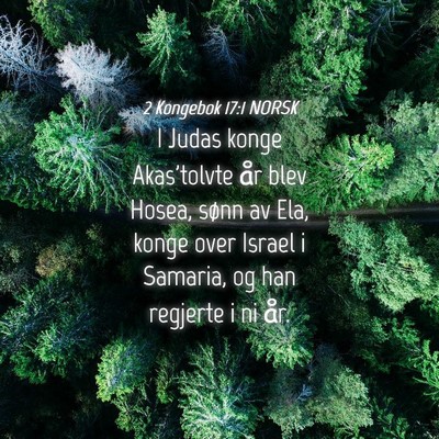 Picture 04 - 2 Kongebok 17:1 NORSK - I Judas konge Akas'tolvte år blev Hosea, sønn - Bible Verse Picture