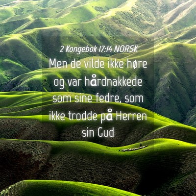Picture 04 - 2 Kongebok 17:14 NORSK - Men de vilde ikke høre og var hårdnakkede som - Bible Verse Picture