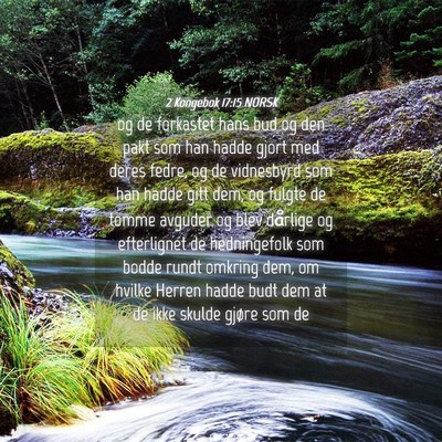 Picture 04 - 2 Kongebok 17:15 NORSK - og de forkastet hans bud og den pakt som han - Bible Verse Picture