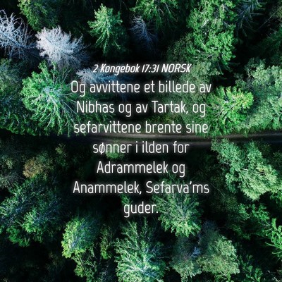 Picture 04 - 2 Kongebok 17:31 NORSK - Og avvittene et billede av Nibhas og av Tartak, - Bible Verse Picture