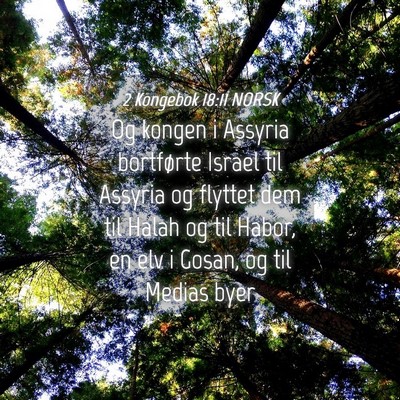 Picture 04 - 2 Kongebok 18:11 NORSK - Og kongen i Assyria bortførte Israel til Assyria - Bible Verse Picture