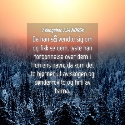 Picture 04 - 2 Kongebok 2:24 NORSK - Da han så vendte sig om og fikk se dem, lyste - Bible Verse Picture
