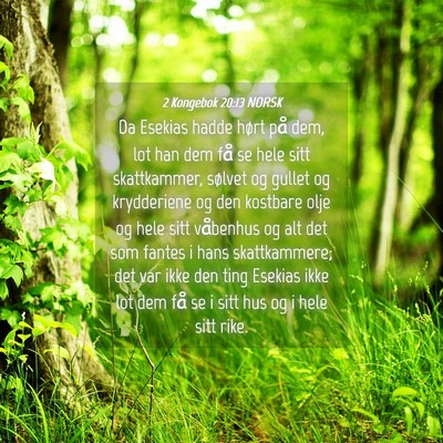 Picture 04 - 2 Kongebok 20:13 NORSK - Da Esekias hadde hørt på dem, lot han dem få - Bible Verse Picture