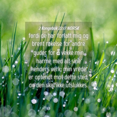 Picture 04 - 2 Kongebok 22:17 NORSK - fordi de har forlatt mig og brent røkelse for - Bible Verse Picture