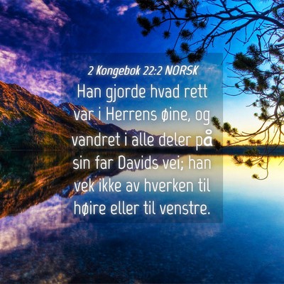 Picture 04 - 2 Kongebok 22:2 NORSK - Han gjorde hvad rett var i Herrens øine, og - Bible Verse Picture