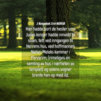 Picture 04 - 2 Kongebok 23:11 NORSK - Han hadde bort de hester som Judas konger hadde - Bible Verse Picture