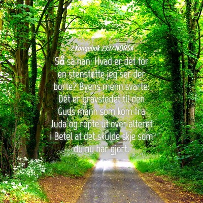 Picture 04 - 2 Kongebok 23:17 NORSK - Så sa han: Hvad er det for en stenstøtte jeg - Bible Verse Picture