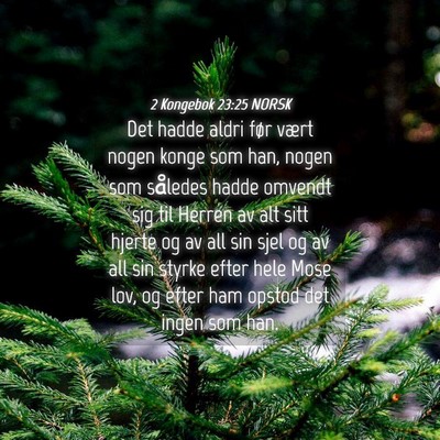 Picture 04 - 2 Kongebok 23:25 NORSK - Det hadde aldri før vært nogen konge som han, - Bible Verse Picture