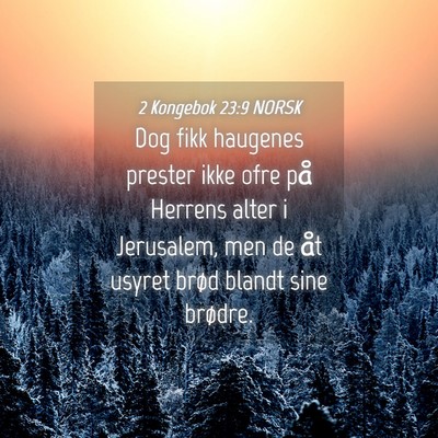 Picture 04 - 2 Kongebok 23:9 NORSK - Dog fikk haugenes prester ikke ofre på Herrens - Bible Verse Picture