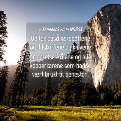 Picture 04 - 2 Kongebok 25:14 NORSK - De tok også askebøttene og ildskuffene og - Bible Verse Picture